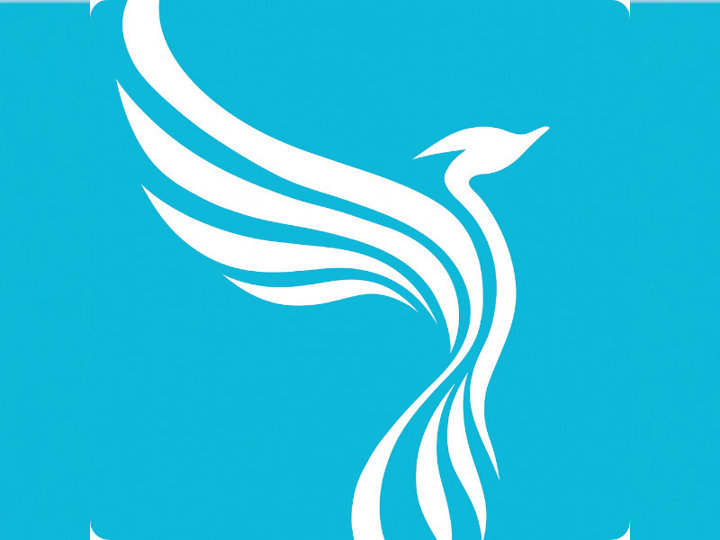 Your Company Formations